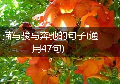 描写骏马奔驰的句子(通用47句)