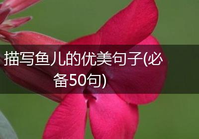 描写鱼儿的优美句子(必备50句)