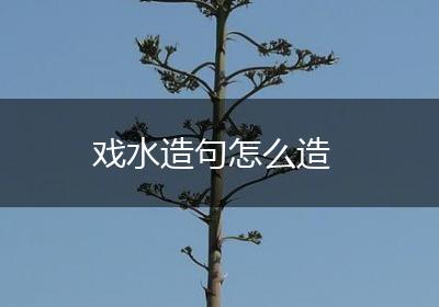 戏水造句怎么造