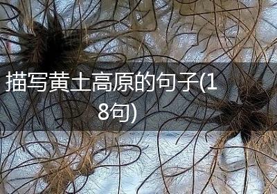 描写黄土高原的句子(18句)