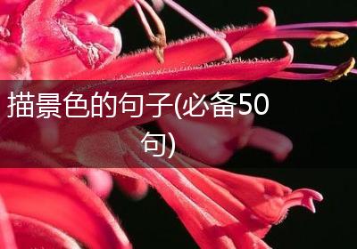 描景色的句子(必备50句)