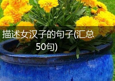 描述女汉子的句子(汇总50句)