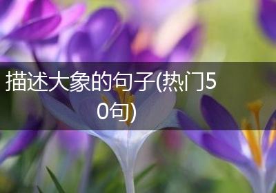 描述大象的句子(热门50句)