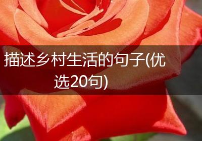 描述乡村生活的句子(优选20句)