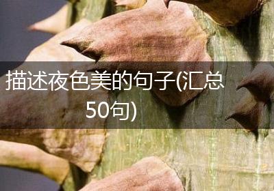 描述夜色美的句子(汇总50句)