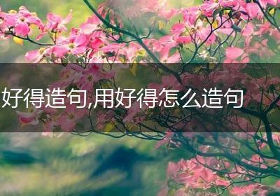 好得造句,用好得怎么造句