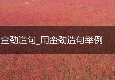 蛮劲造句_用蛮劲造句举例