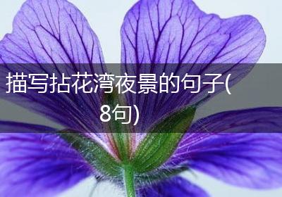 描写拈花湾夜景的句子(8句)