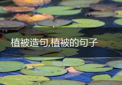 植被造句,植被的句子