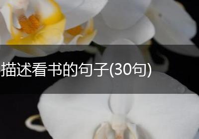 描述看书的句子(30句)