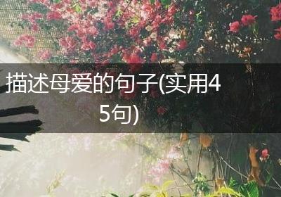 描述母爱的句子(实用45句)