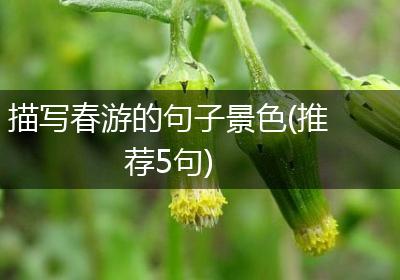 描写春游的句子景色(推荐5句)