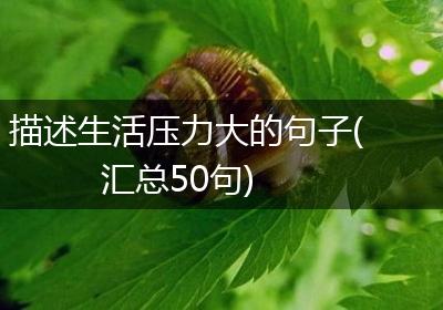 描述生活压力大的句子(汇总50句)