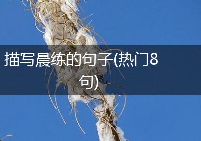 描写晨练的句子(热门8句)