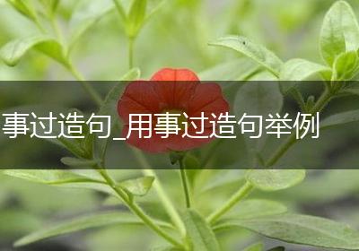 事过造句_用事过造句举例