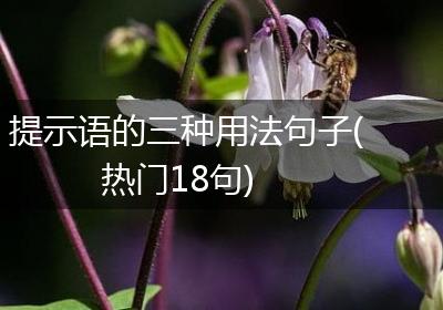 提示语的三种用法句子(热门18句)