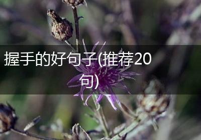 握手的好句子(推荐20句)