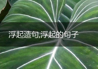 浮起造句,浮起的句子