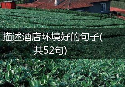 描述酒店环境好的句子(共52句)