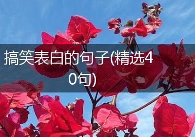 搞笑表白的句子(精选40句)