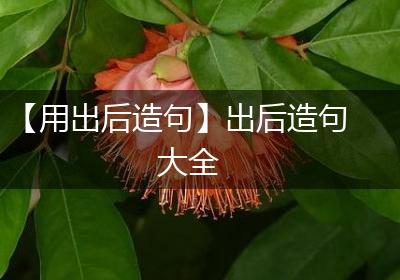 【用出后造句】出后造句大全