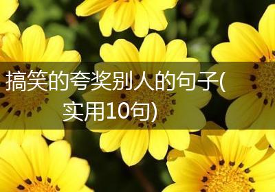 搞笑的夸奖别人的句子(实用10句)
