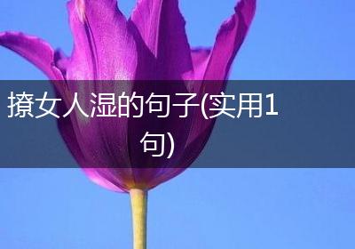 撩女人湿的句子(实用1句)