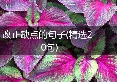 改正缺点的句子(精选20句)