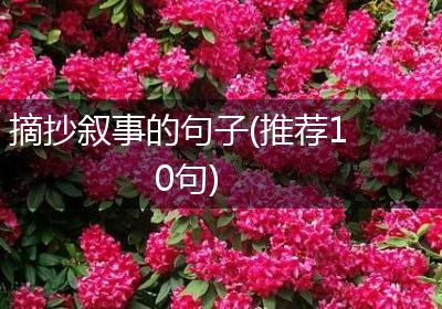 摘抄叙事的句子(推荐10句)