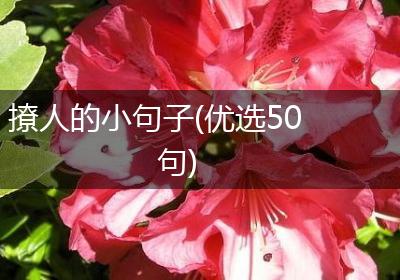 撩人的小句子(优选50句)