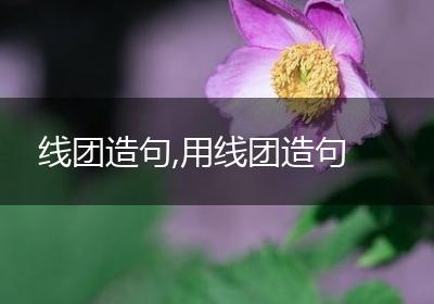 线团造句,用线团造句