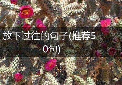 放下过往的句子(推荐50句)