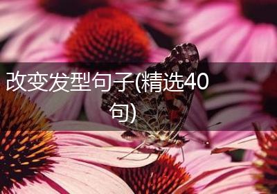改变发型句子(精选40句)
