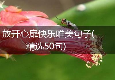 放开心扉快乐唯美句子(精选50句)