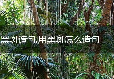 黑斑造句,用黑斑怎么造句