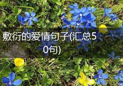 敷衍的爱情句子(汇总50句)