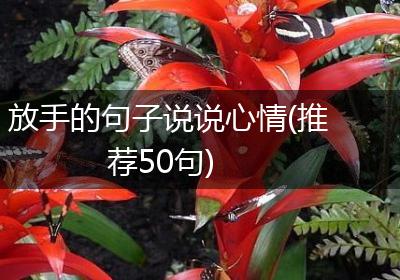 放手的句子说说心情(推荐50句)