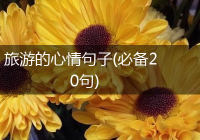 旅游的心情句子(必备20句)