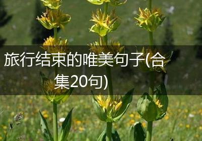 旅行结束的唯美句子(合集20句)
