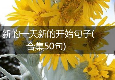 新的一天新的开始句子(合集50句)