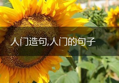 人门造句,人门的句子