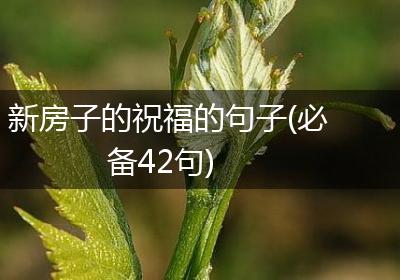 新房子的祝福的句子(必备42句)