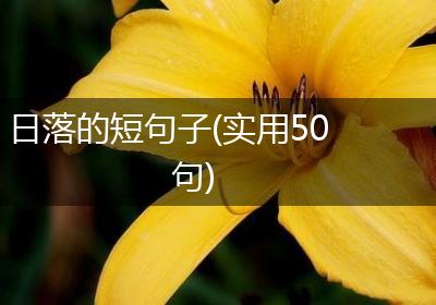 日落的短句子(实用50句)