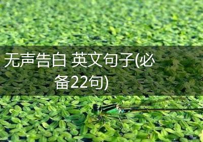 无声告白 英文句子(必备22句)