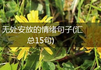 无处安放的情绪句子(汇总15句)