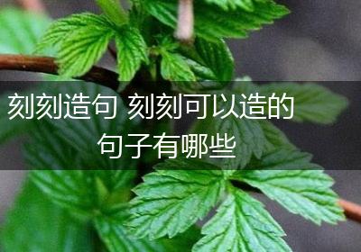 刻刻造句 刻刻可以造的句子有哪些