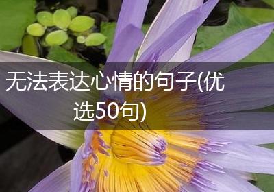 无法表达心情的句子(优选50句)