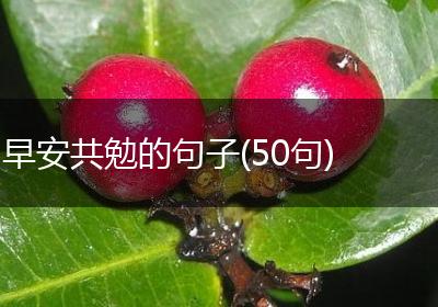 早安共勉的句子(50句)