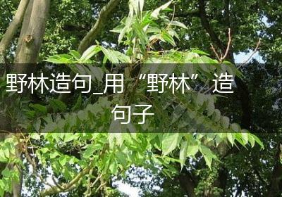 野林造句_用“野林”造句子
