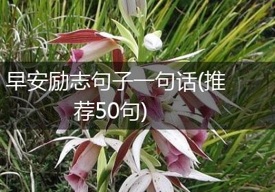 早安励志句子一句话(推荐50句)